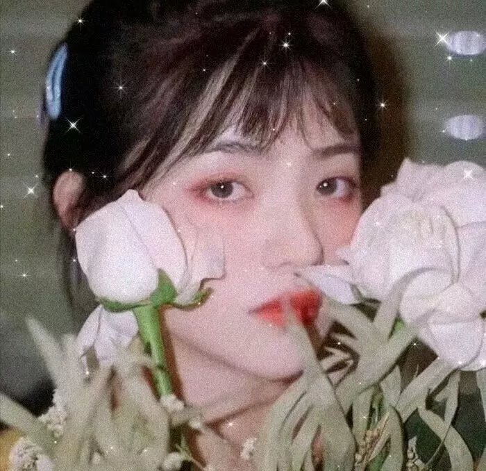 琳达·朗斯塔特：我的声音